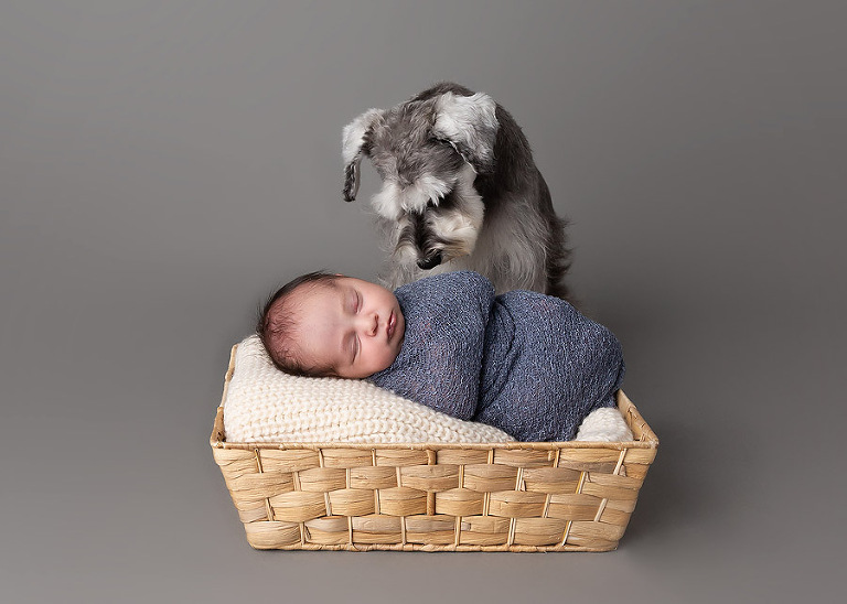 newborn photographer sutherland shire