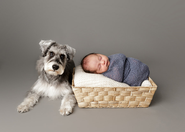 newborn photographer sutherland shire